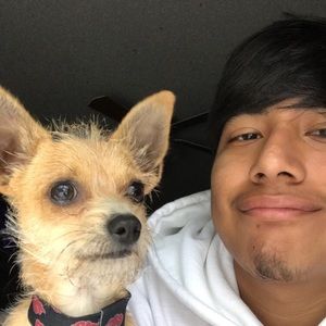 Meet your Posher, Oscar